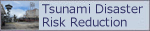 Tsunami Disaster Risk Reduction