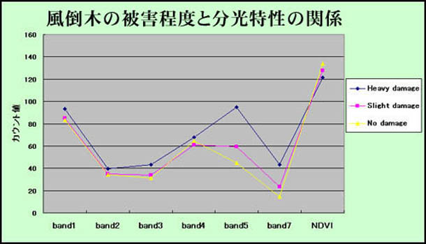 image9.jpg (43060 バイト)