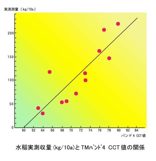 image9.jpg (31121 バイト)