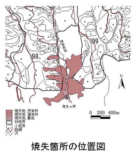 image12.jpg (71102 oCg)