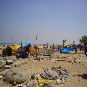 Kalpakkam (Tamil Nadu) Fishermen hamlet destroyed on the coast