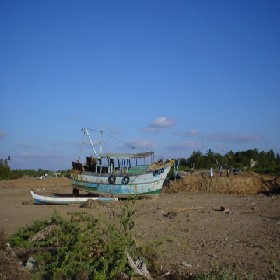Cuddalore (Tamil Nadu) Boats landed on a ground near a river mouth