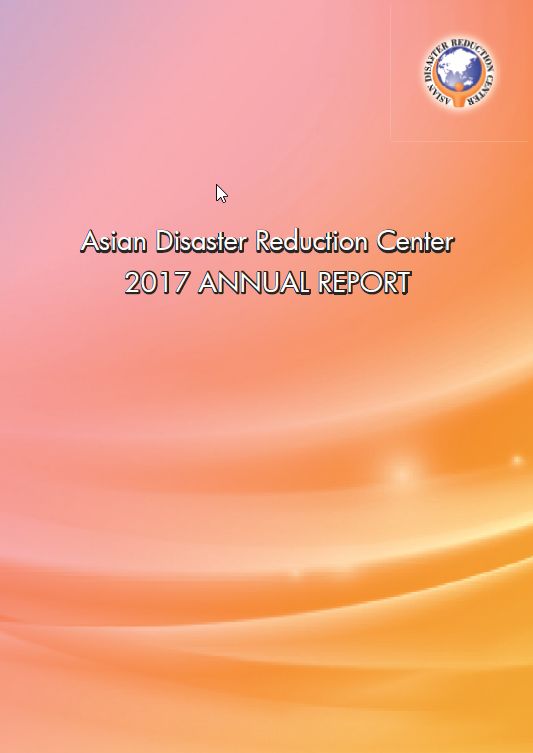 2017年度　年次報告書
