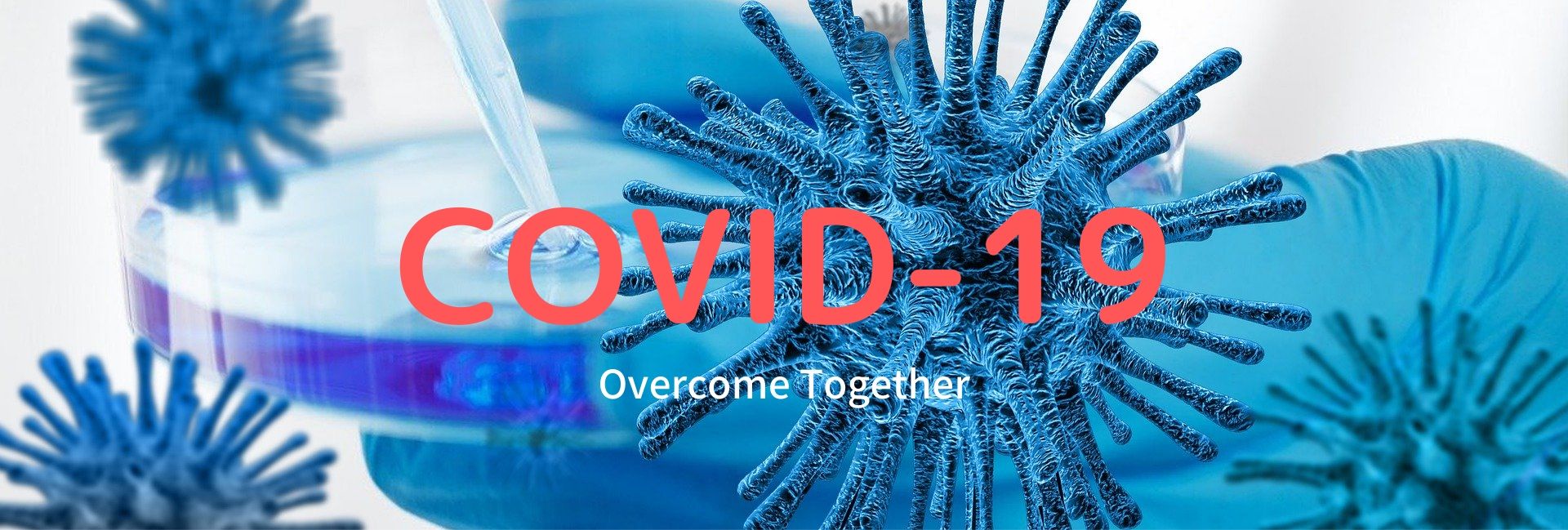 Reports on Preventing COVID-19